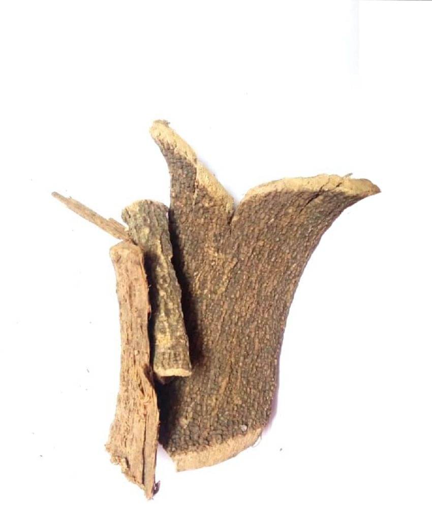     			VINARGHYA Varuna Chal / Cretaeva Nurvala Bark / Barna / Borun / Varno / Baruna 100 gm