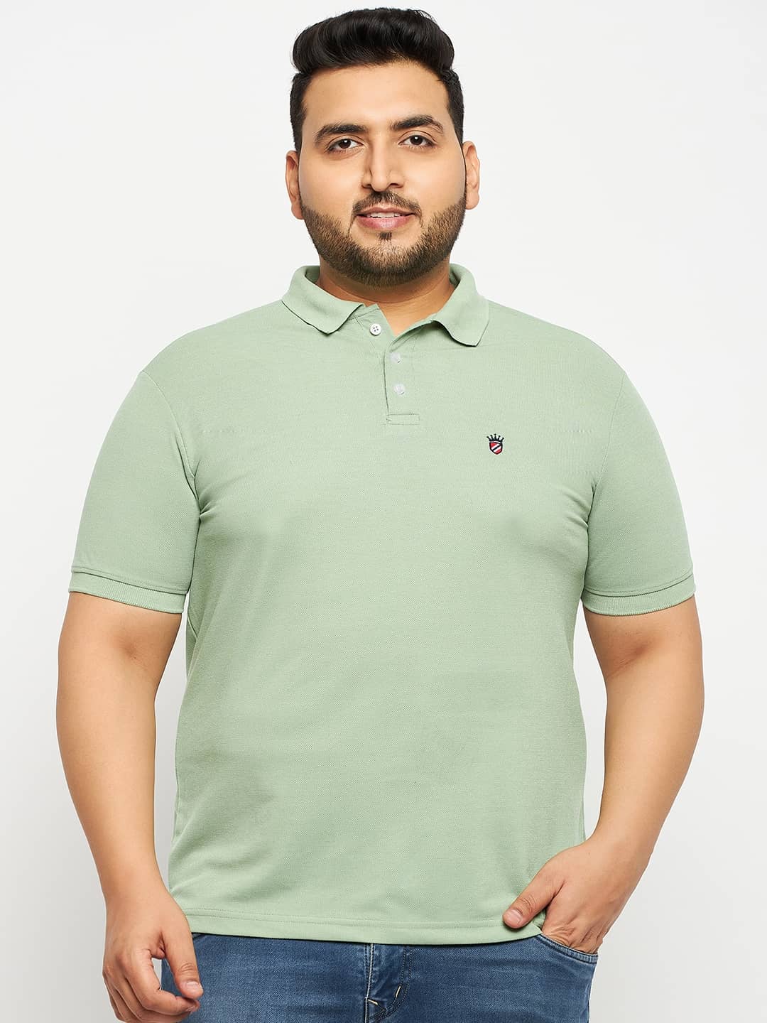 RELANE Pack of 1 Cotton Blend Regular Fit Solid Half Sleeves Men's Polo T Shirt ( Green )