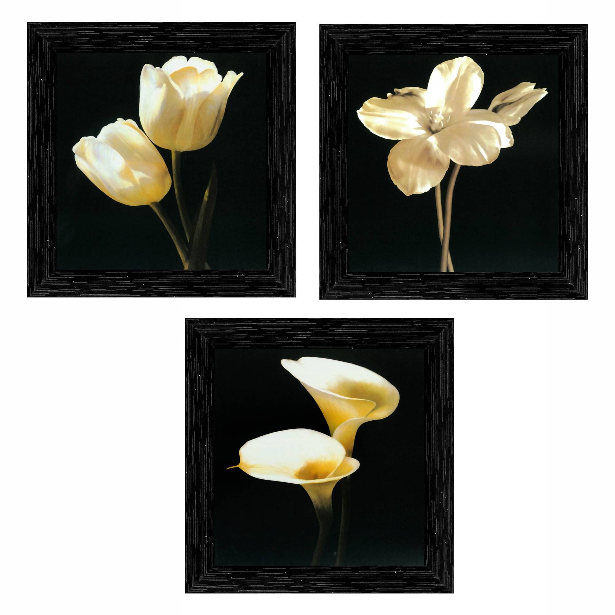     			Indianara - Floral Painting With Frame