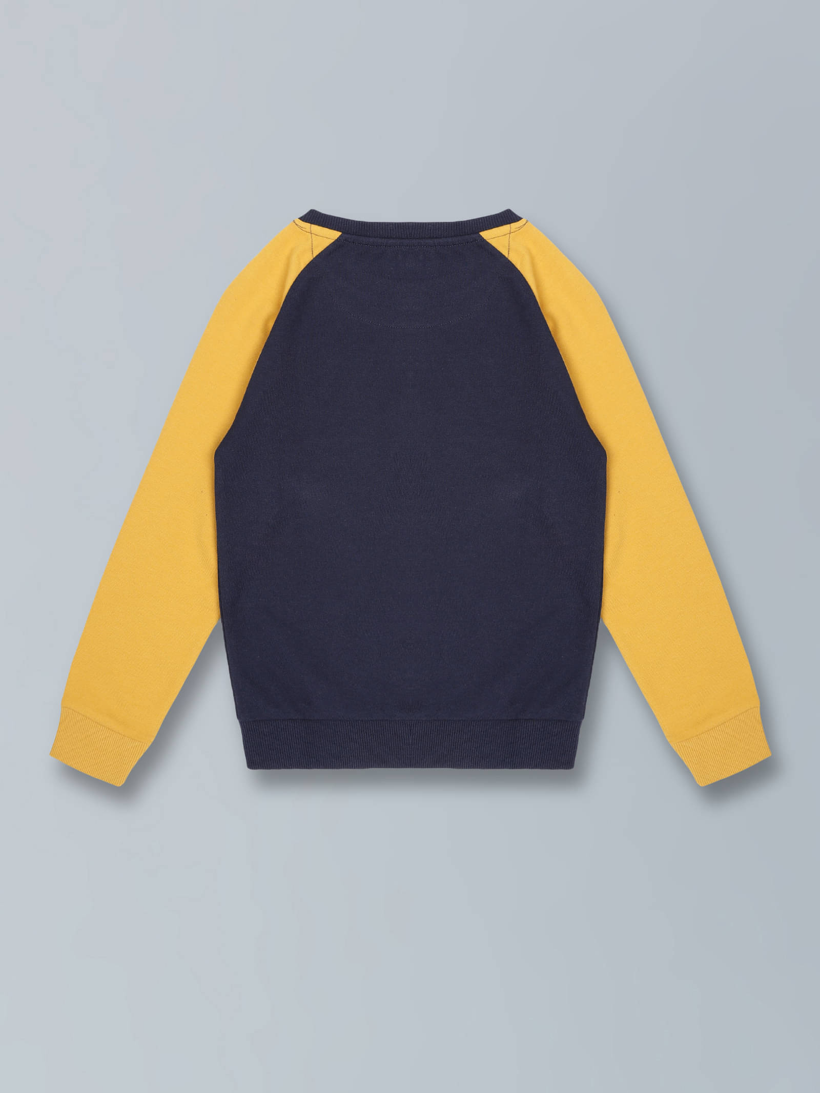     			PLUM TREE Pack of 1 Boys Cotton Blend Sweatshirt ( Navy )