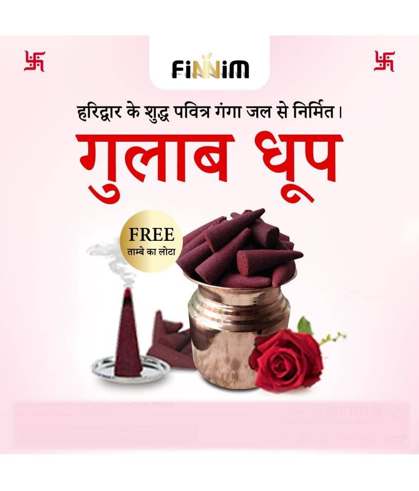     			Finnim - Dhoop Rose 65 Pieces ( Pack of 1 )