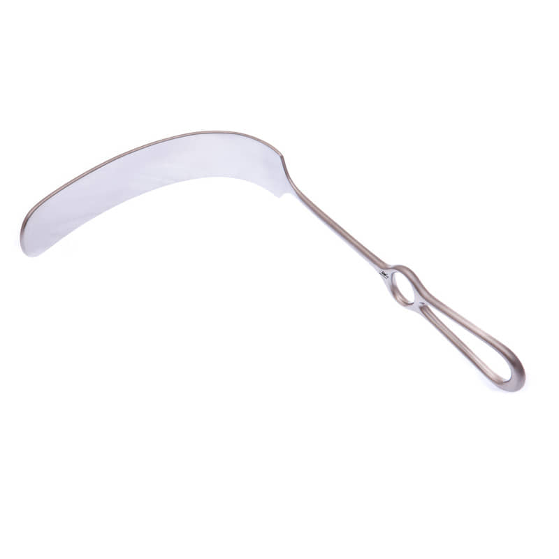 Alis Alis Kelly Stainless Steel 160x38mm,27cm/10x1/2 In