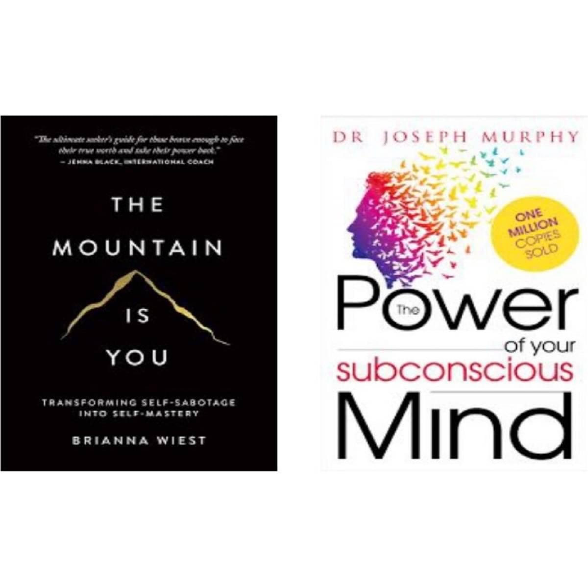 The Mountain Is You + The Power of Your Subconscious Mind The Mountain Is You + The Power of Your Subconscious Mind