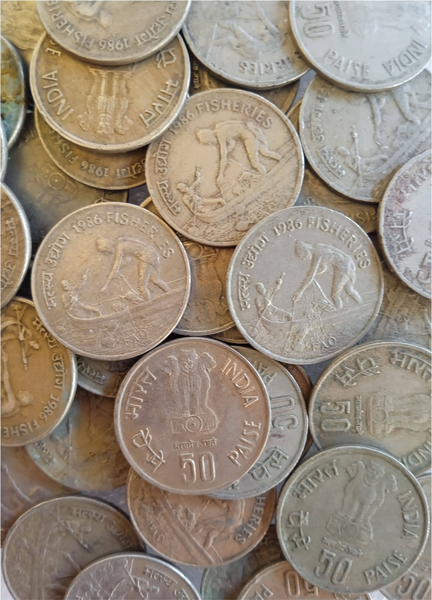     			50PAISA FISHERIES CIRCULATED CONDITION