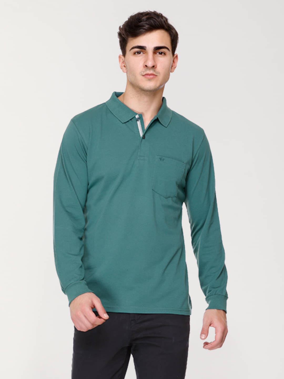 Array Cotton Blend Regular Fit Solid Full Sleeves Men's Polo T Shirt - Green ( Pack of 1 ) Array Cotton Blend Regular Fit Solid Full Sleeves Men's Polo T Shirt - Green ( Pack of 1 )