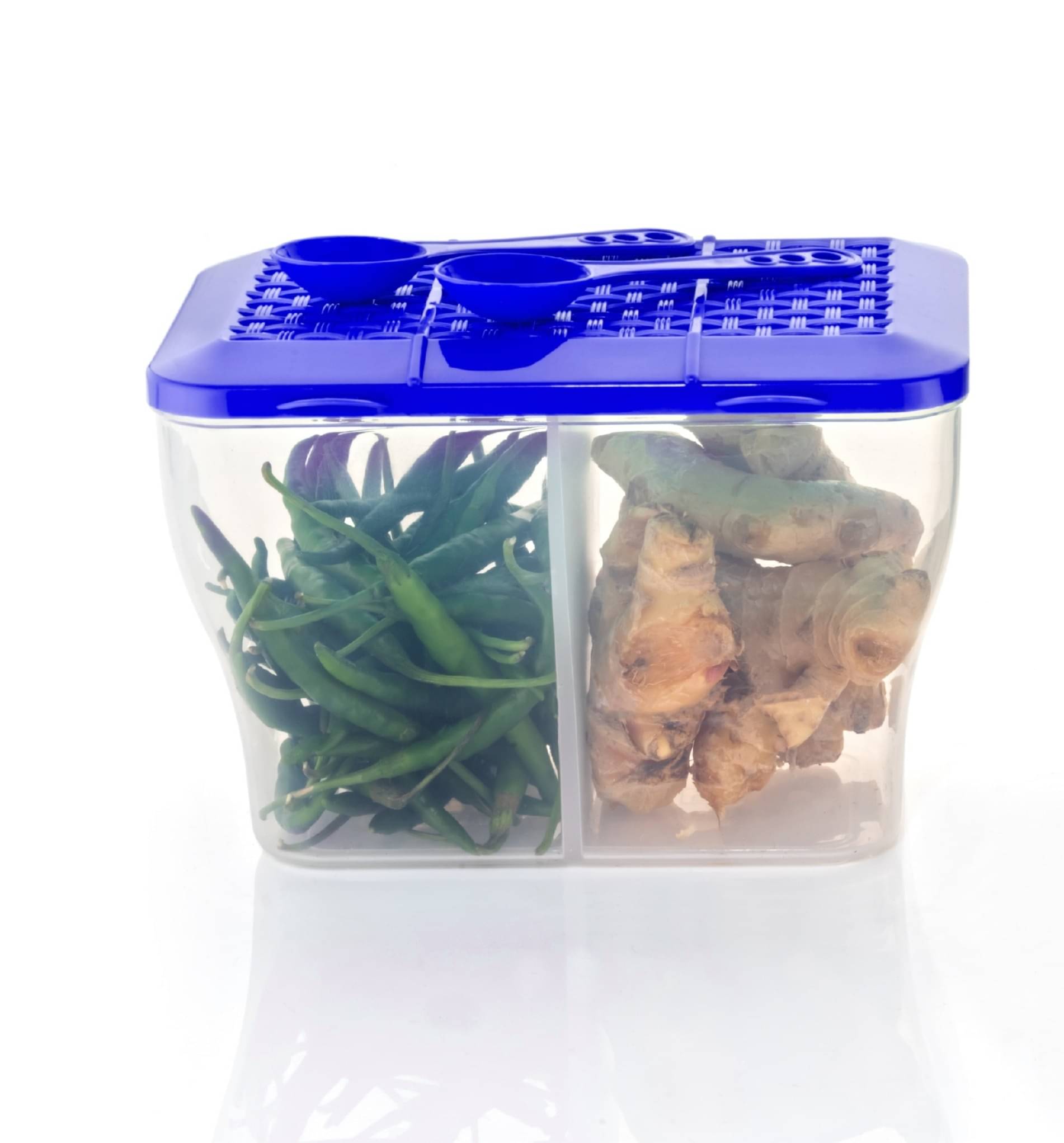     			MAGICSPOON Fridge Container Plastic Blue Multi-Purpose Container ( Set of 1 )