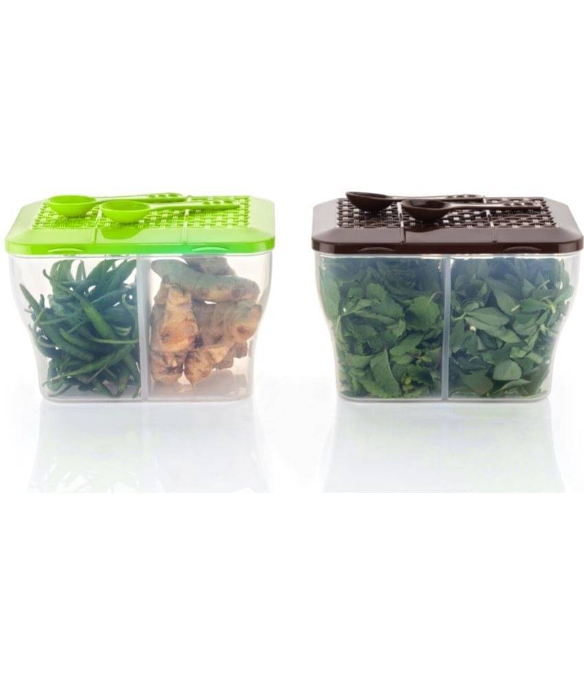     			MAGICSPOON Plastic Multicolor Multi-Purpose Container ( Set of 2 )