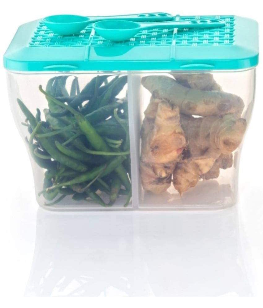     			MAGICSPOON 2 Section Container Plastic Turquoise Multi-Purpose Container ( Set of 1 )