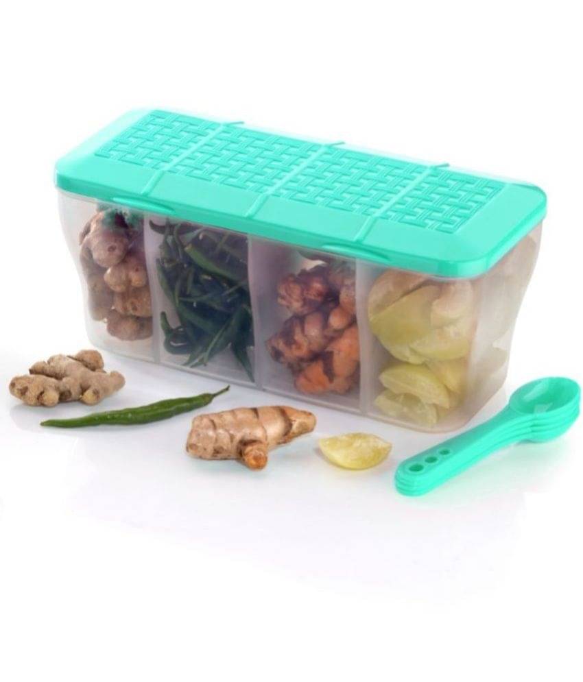     			MAGICSPOON Fridge Container Plastic Turquoise Multi-Purpose Container ( Set of 1 )