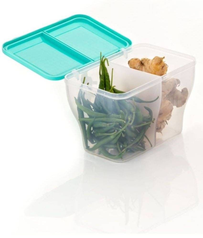     			MAGICSPOON Plastic Turquoise Multi-Purpose Container ( Set of 1 )