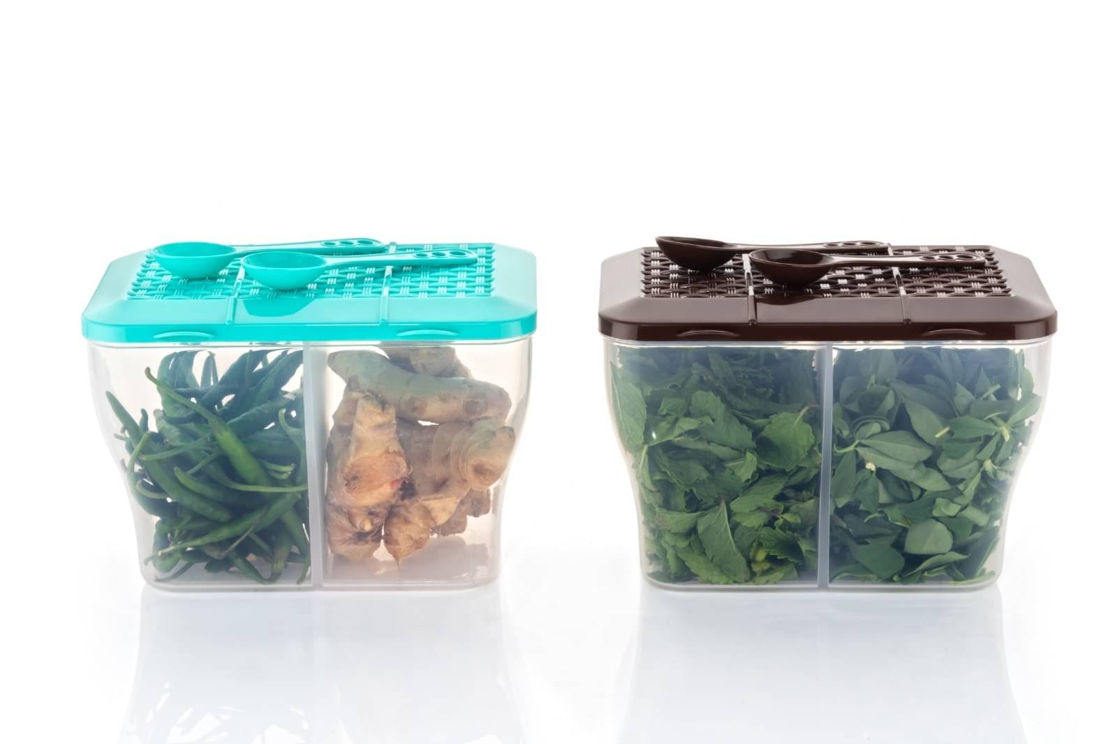     			MAGICSPOON 2 Section Container Plastic Multicolor Multi-Purpose Container ( Set of 2 )