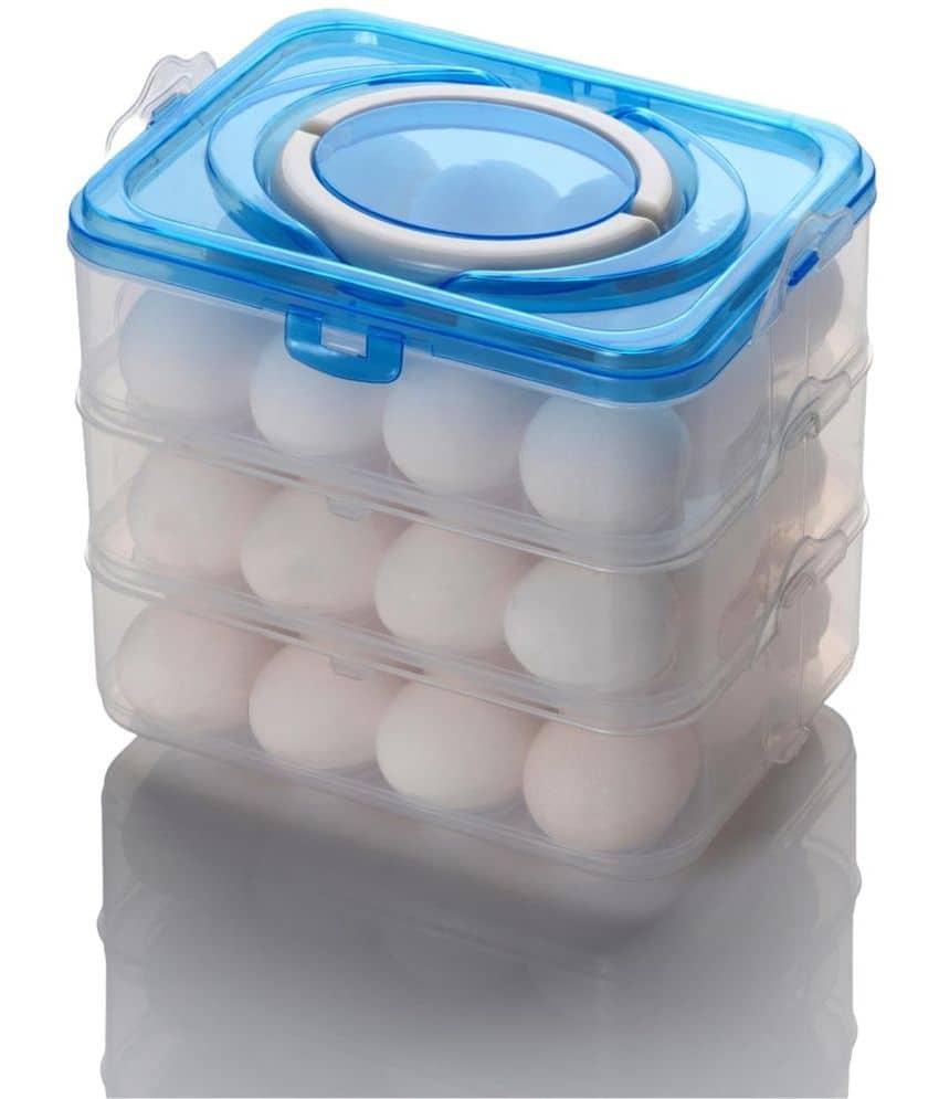 Analog Kitchenware 36 Separator Refrigerator Egg Storage Container/Egg Box/ Egg storage basket with Carry Holder