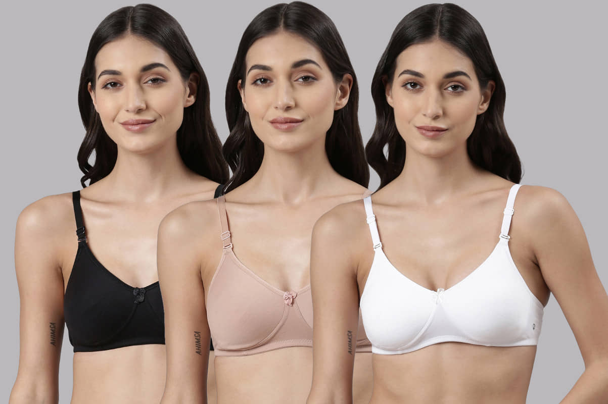 Dollar Missy Pack of 3 Cotton Lightly Padded Women's T-Shirt Bra ( Multicolor )