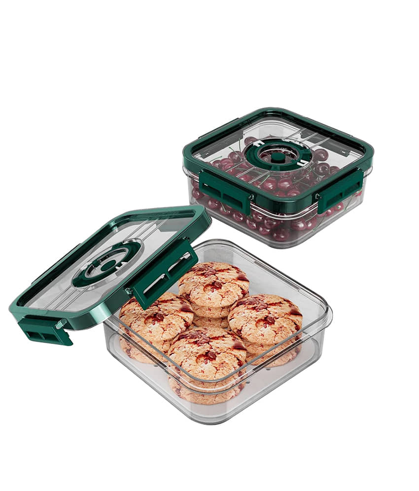 Arni Food Container Plastic Multicolor Food Container ( Set of 2 )