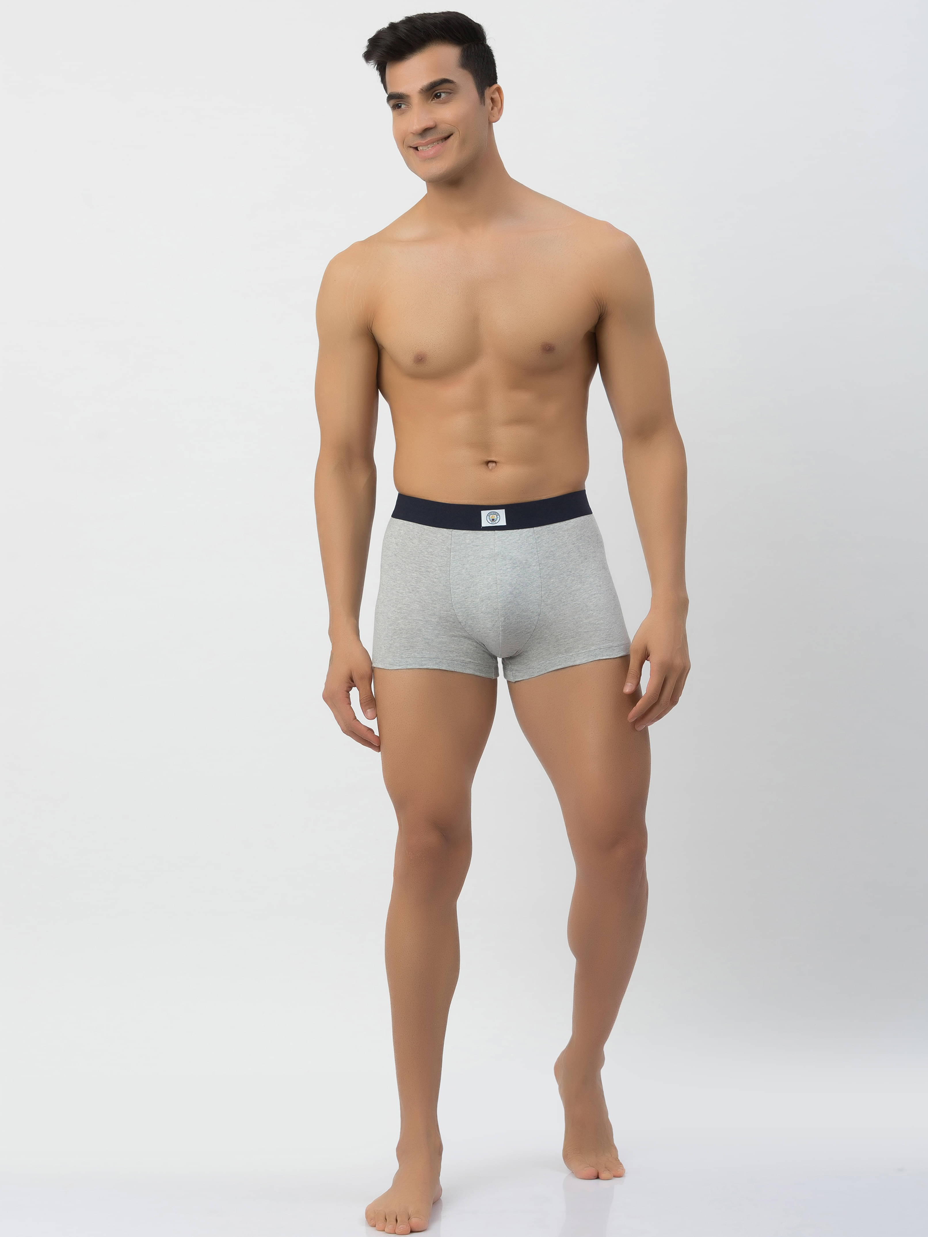     			John Players Grey Melange John Players Trunks Cotton Men's Trunks ( Pack of 1 )