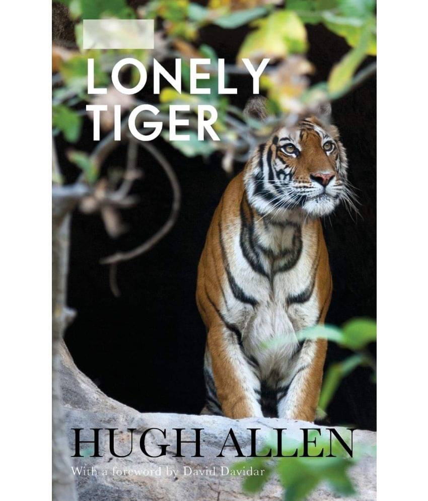     			The Lonely Tiger
