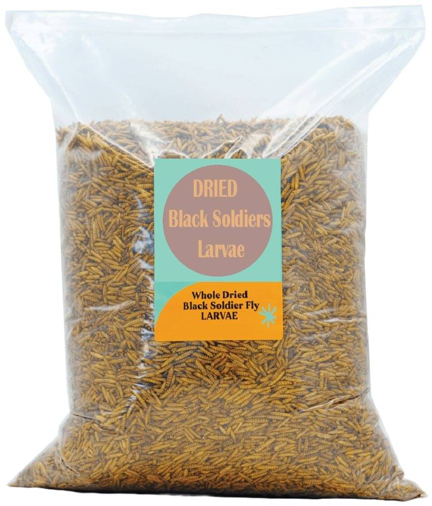 Whole Dried Black Soldier Fly Larvae - Protein Rich Fish Food for Arowana, Flower Horn, Oscar, Fighter, Angelfish, Molly, Koi, Cichlids, Tetra, Discus, Nutrient-Rich Feed for Fish and Turtle 40% High Protein and 50x More Calcium Whole Dried Black Soldier Fly Larvae - Protein Rich Fish Food for Arowana, Flower Horn, Oscar, Fighter, Angelfish, Molly, Koi, Cichlids, Tetra, Discus, Nutrient-Rich Feed for Fish and Turtle 40% High Protein and 50x More Calcium