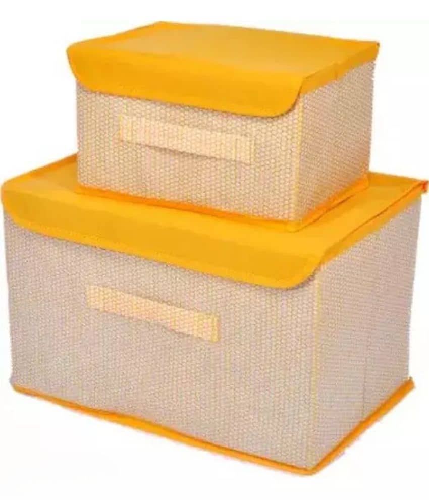 Sunesh creation - Foldable Non Woven Clothes Organisers Box (Pack of 2)