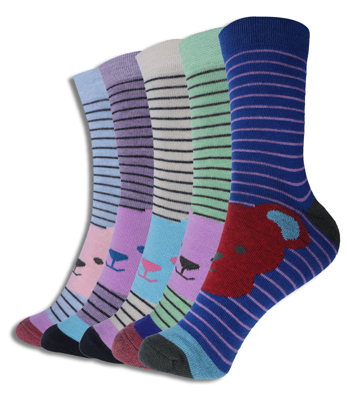 Dollar Multicolor Cotton Blend Boy's Full Length Socks ( Pack of 5 ) - Socks | Buy online on ZillyBuy