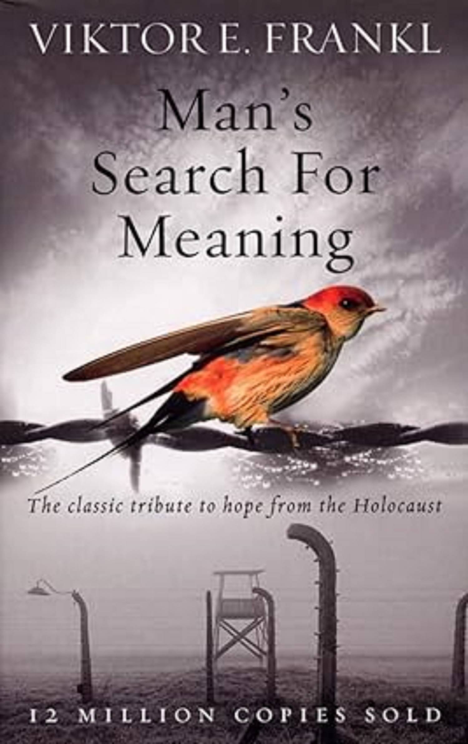     			Man's Search For Meaning: The classic tribute to hope from the Holocaust Paperback – 1 January 2010