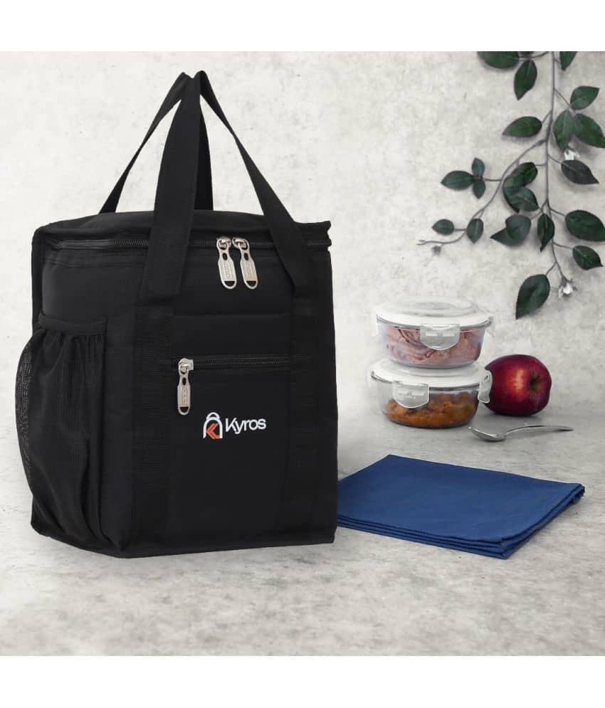 Kyros Black Polyester Lunch Bag Pack of 1 - Handbags | Buy online on ZillyBuy