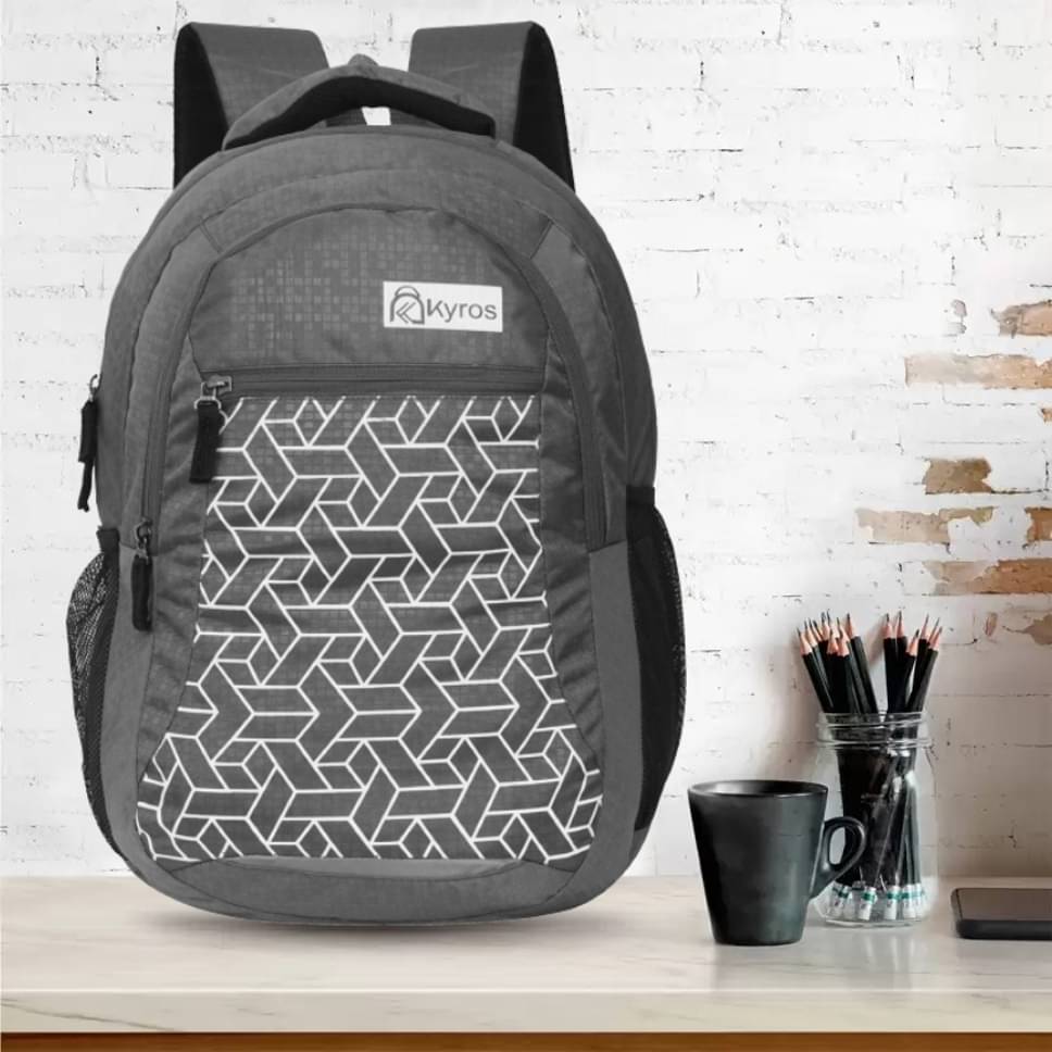     			Kyros Grey Polyester Backpack ( 40 Ltrs )