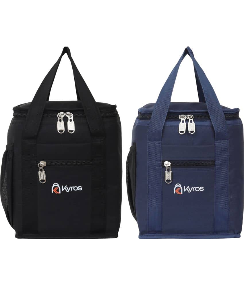 Kyros Blue Polyester Lunch Bag Pack of 2 - Handbags | Buy online on ZillyBuy