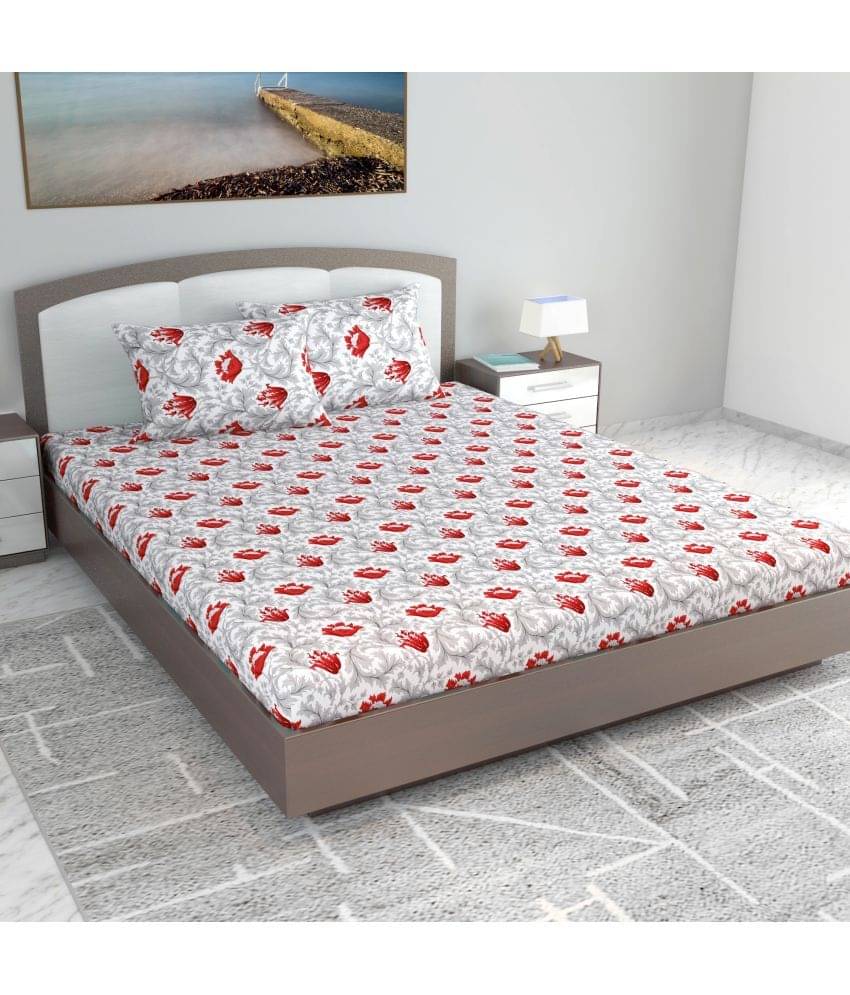     			DIVINE CASA Cotton Double King Bedsheet ( White )
