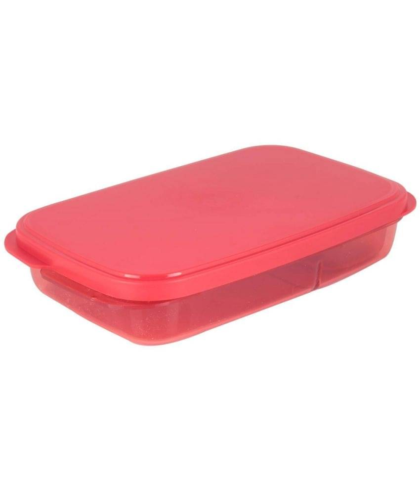     			Green Tales Divine Lunch Box Plastic Lunch Box 2 - Container ( Pack of 1 )