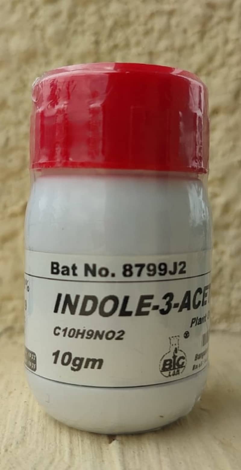 INDOLE-3-ACETIC AC-ID - 10gm  (C10H9NO2)  CAS No:87-51-4
