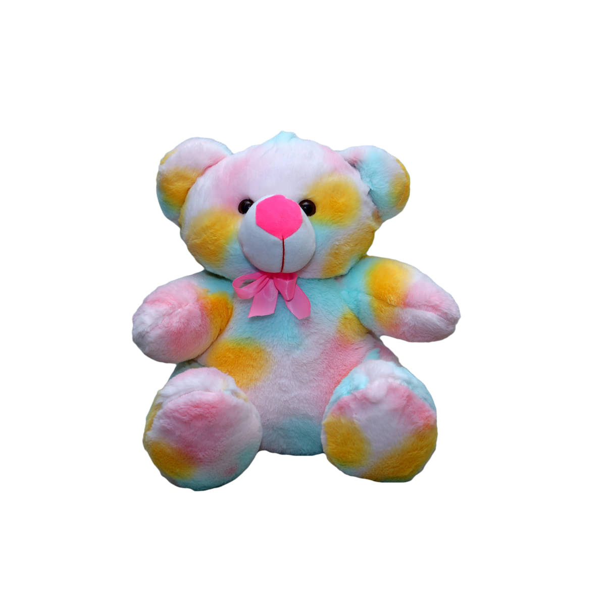     			rainbow teddy