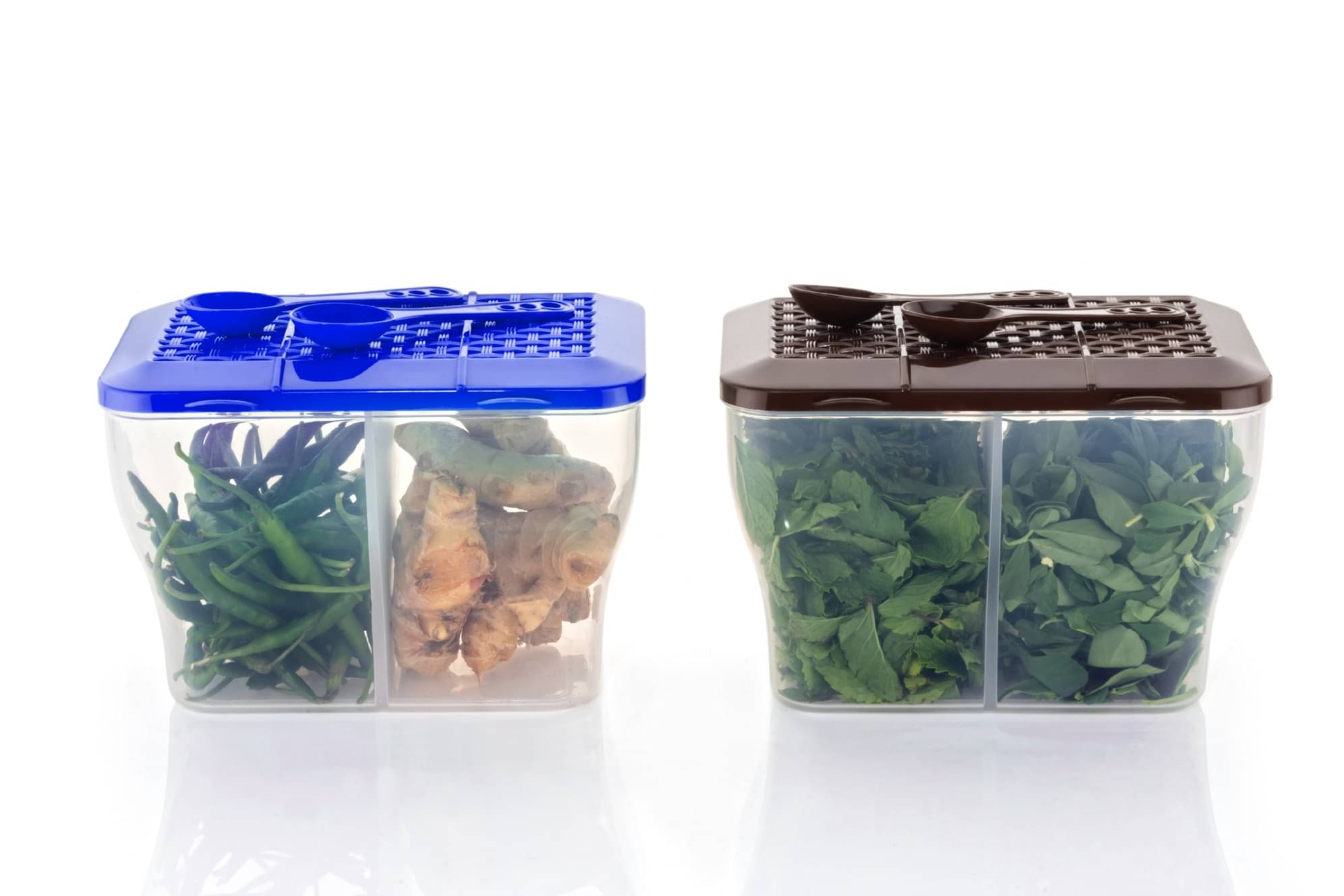    			FIT4CHEF Fridge Storage PET Multicolor Multi-Purpose Container ( Set of 2 )