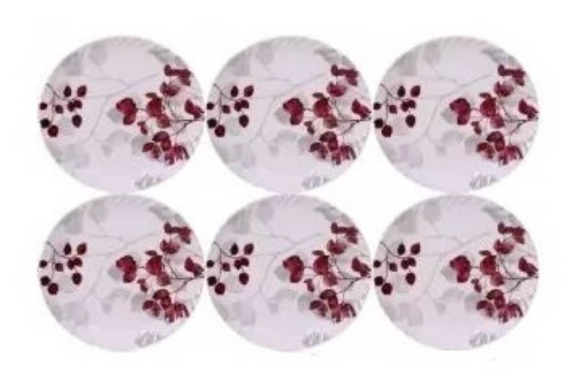     			Carnival 6 Pcs Melamine Multi Color Half Plate