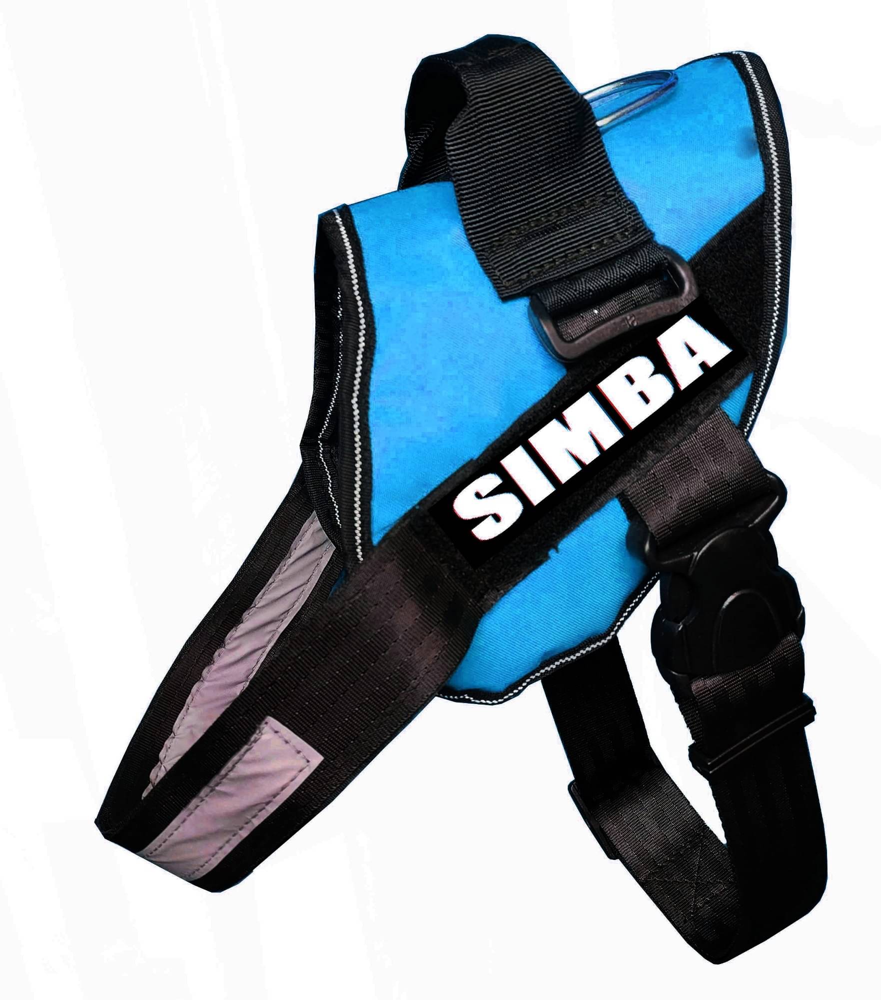Petshop7 Light Blue Harness ( Small ) Petshop7 Light Blue Harness ( Small )