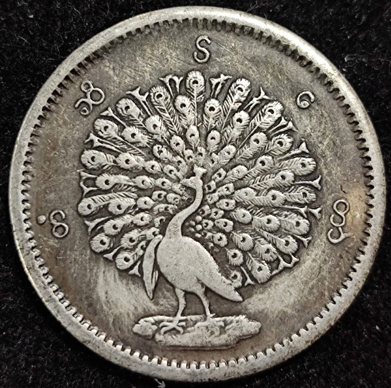 Myanmar 1 Kyat - Mindon MinT RARE COIN Myanmar 1 Kyat - Mindon MinT RARE COIN