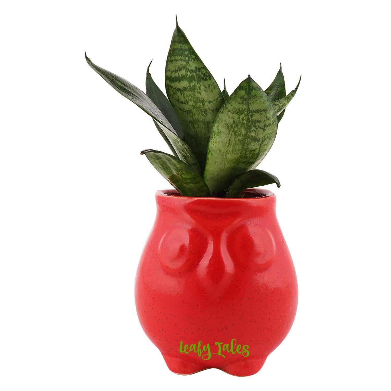     			Leafy Tales Red Ceramic Ceramic Planters ( Pack of 1 )