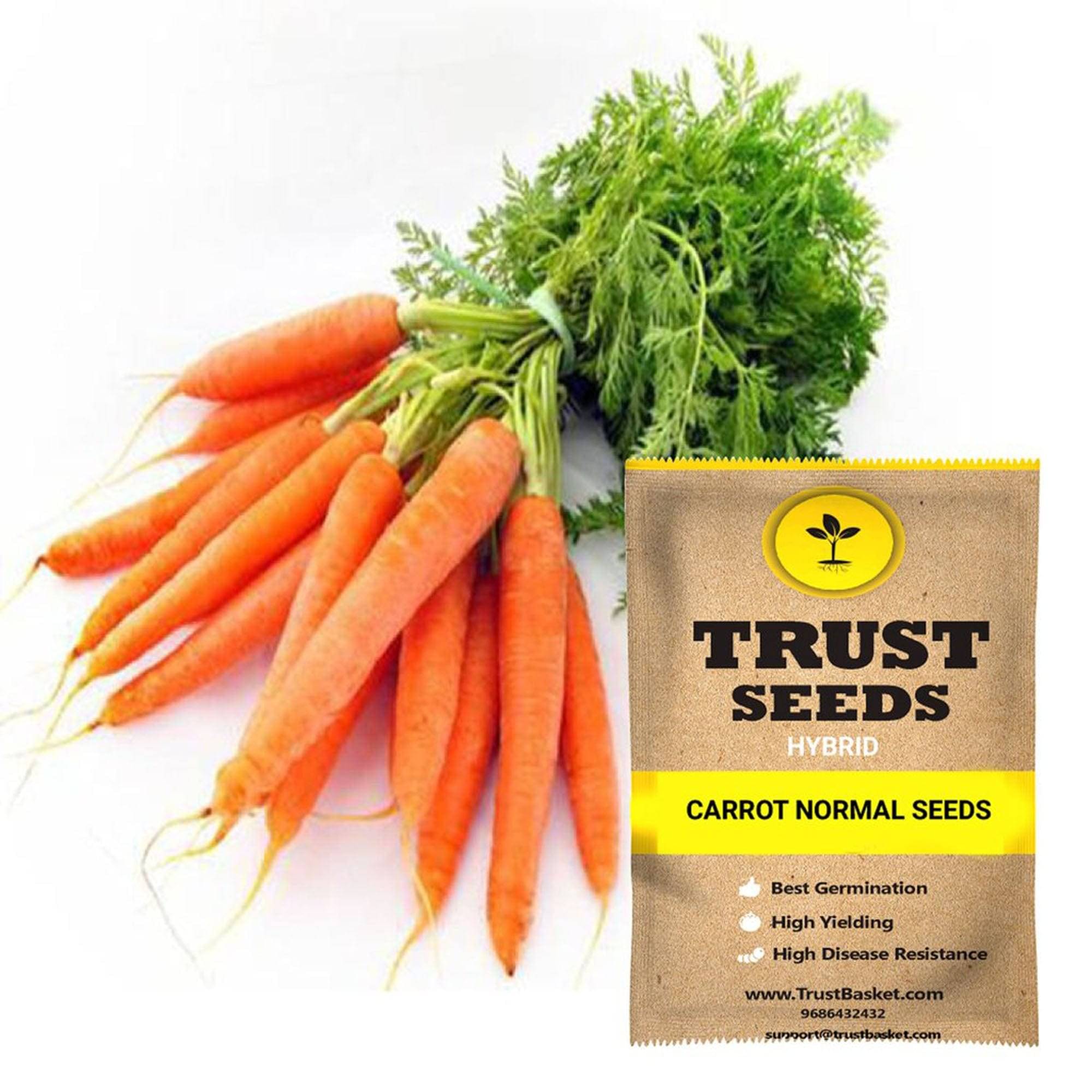     			TrustBasket Carrot Normal Vegetable Seeds Hybrid (15 Seeds)