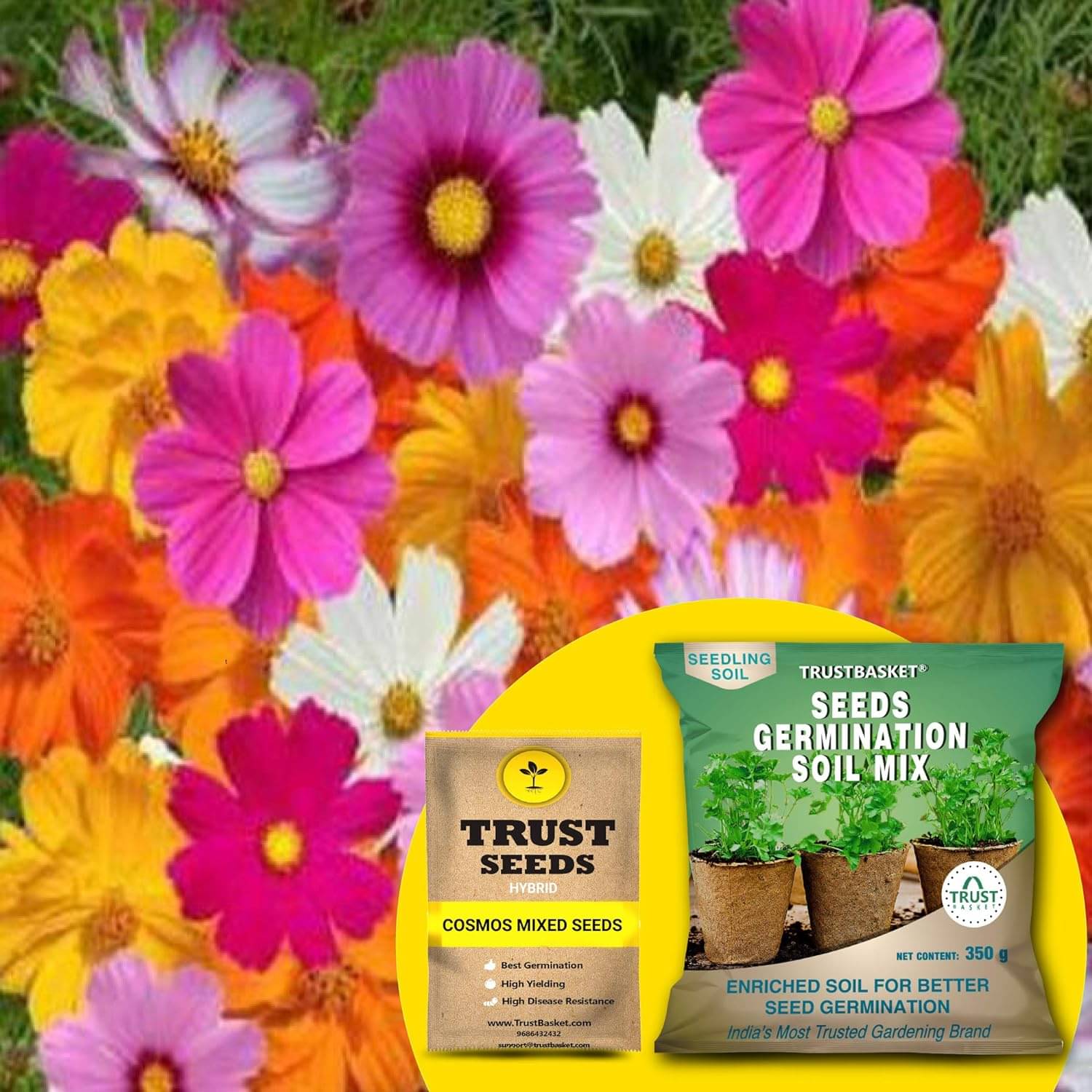     			TrustBasket Cosmos Mixed Seeds (Hybrid) with Free Germination Potting Soil Mix (20 Seeds)