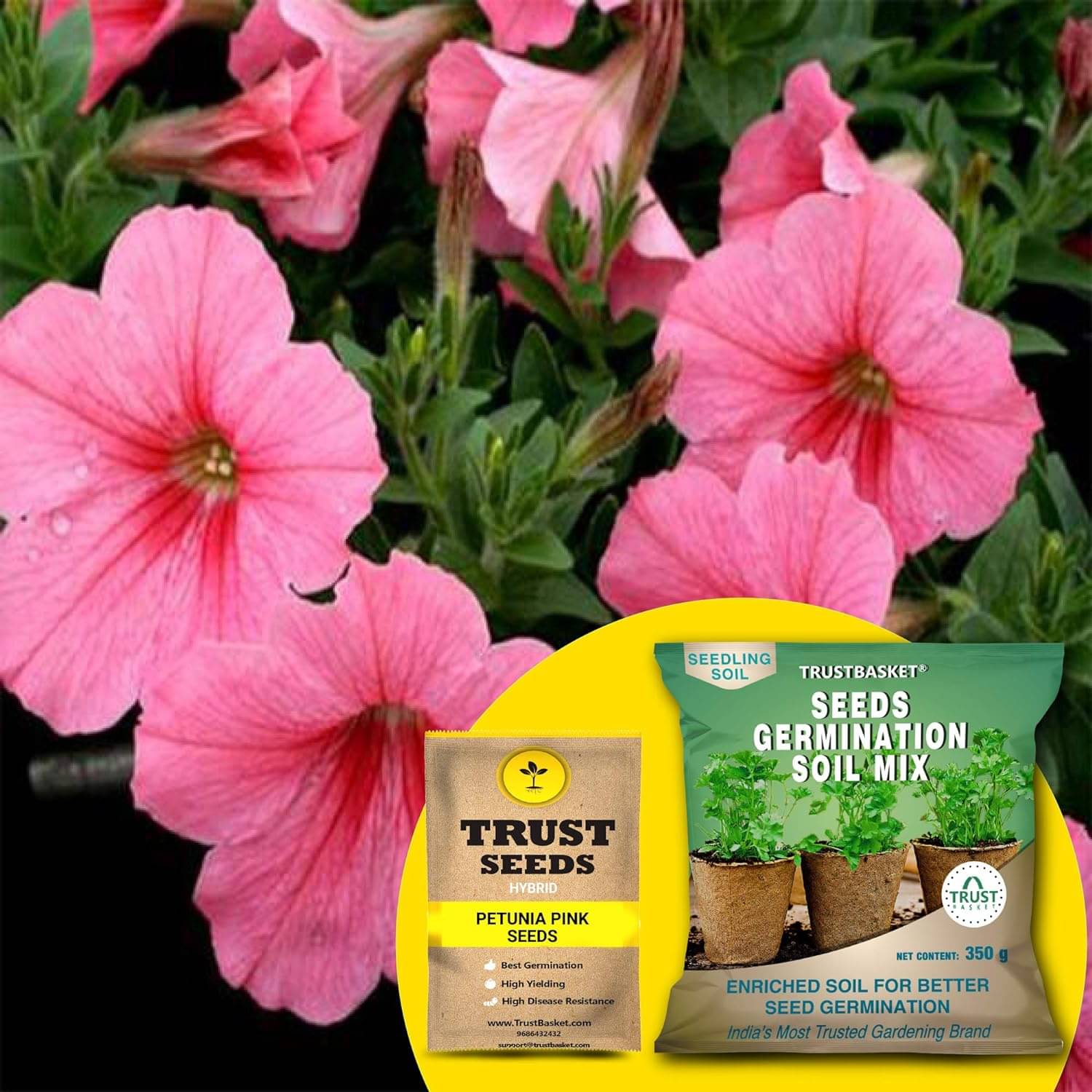     			TrustBasket Petunia Pink Seeds (Hybrid) with Free Germination Potting Soil Mix (20 Seeds)