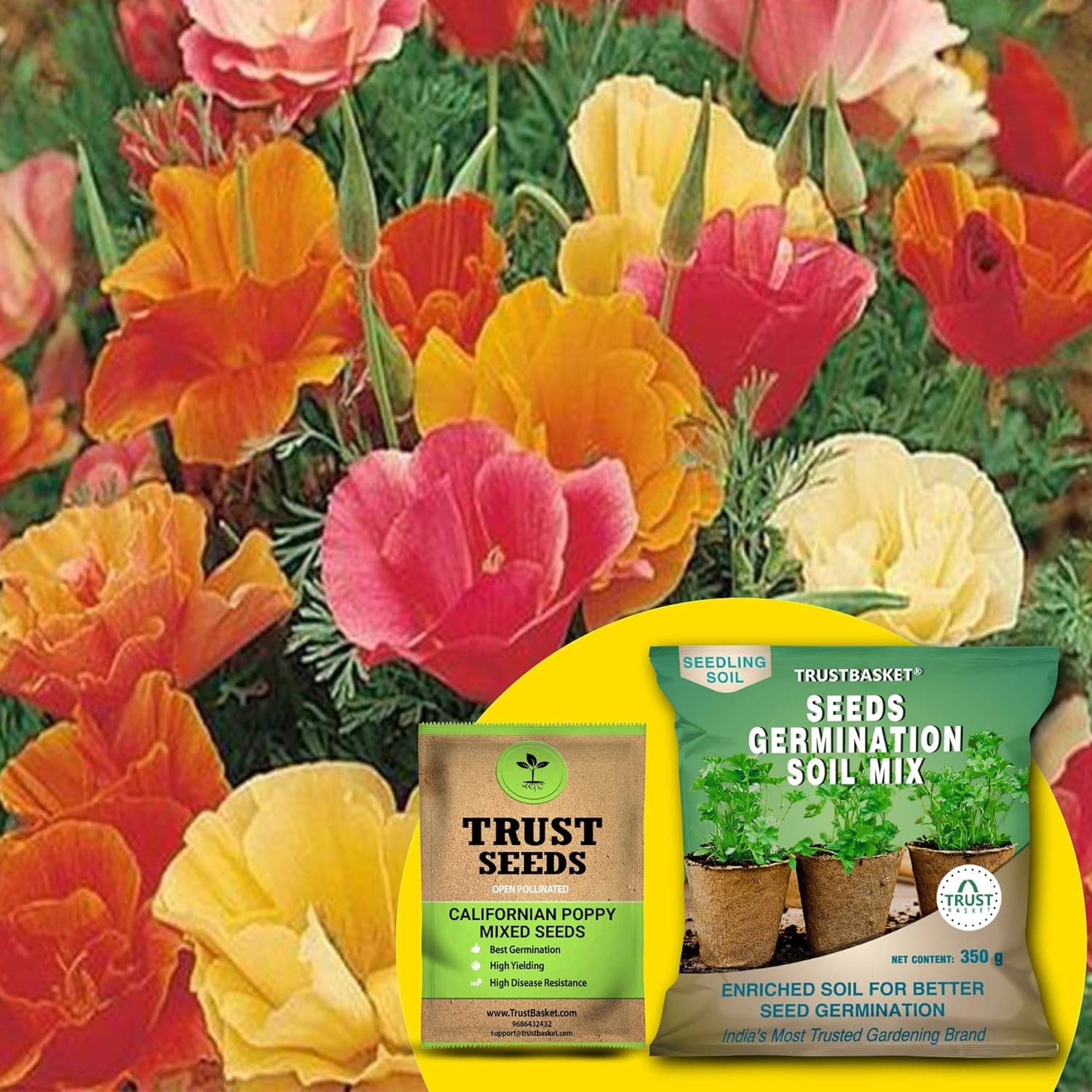     			TrustBasket Californian Poppy Mixed Seeds with Free Germination Potting Soil Mix OP (20 Seeds)
