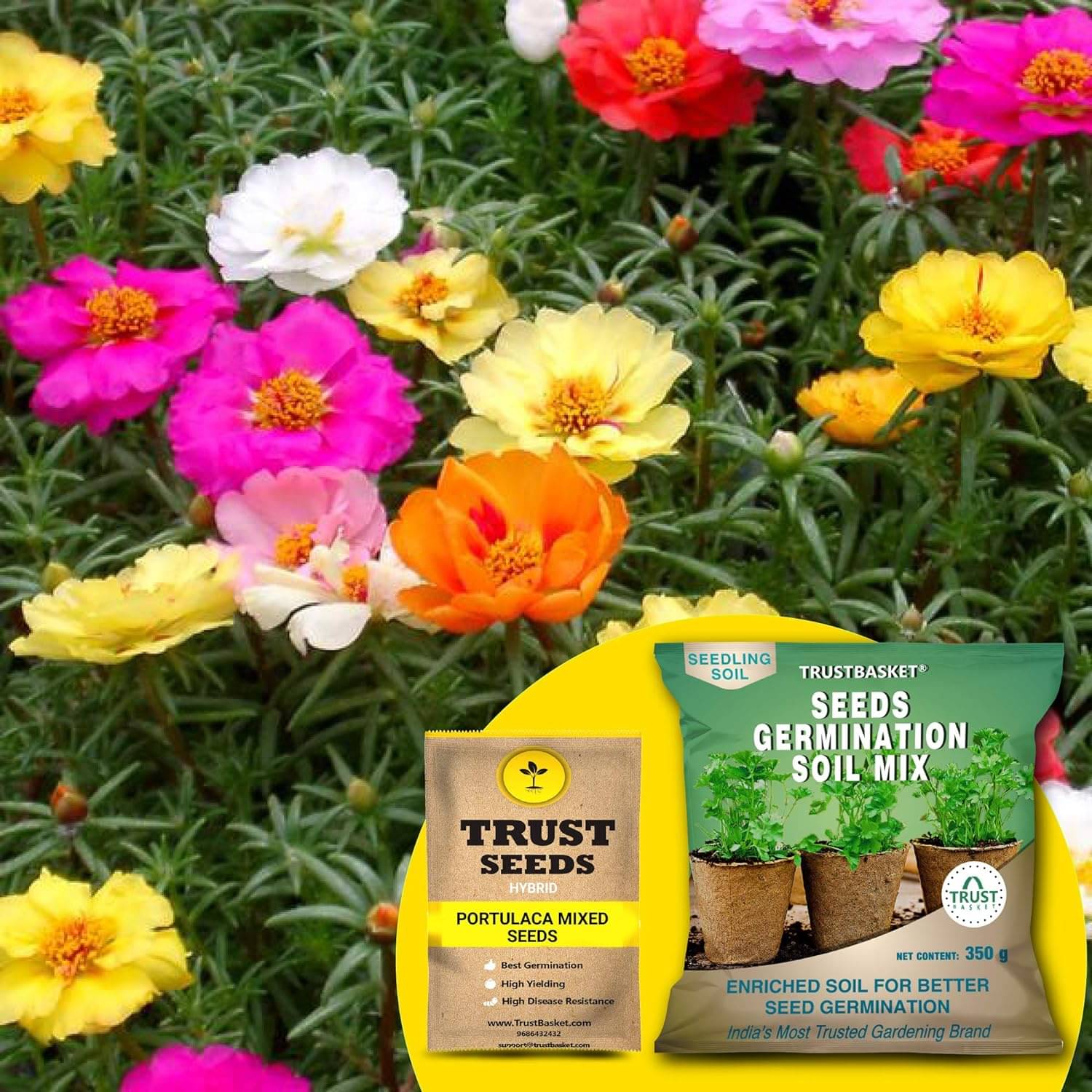     			TrustBasket Portulaca Mixed Seeds with Free Germination Potting Soil Mix Hybrid (20 Seeds)