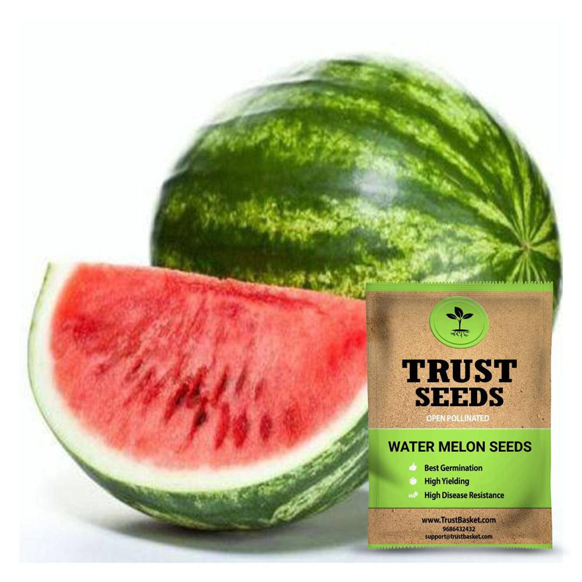     			TrustBasket Water MelonOP