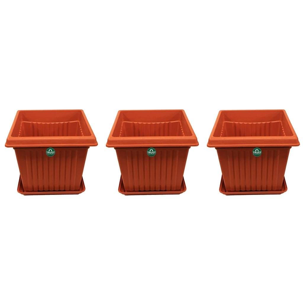     			TrustBasket 6 inch Square Plastic Planter with Saucer - Set of 3