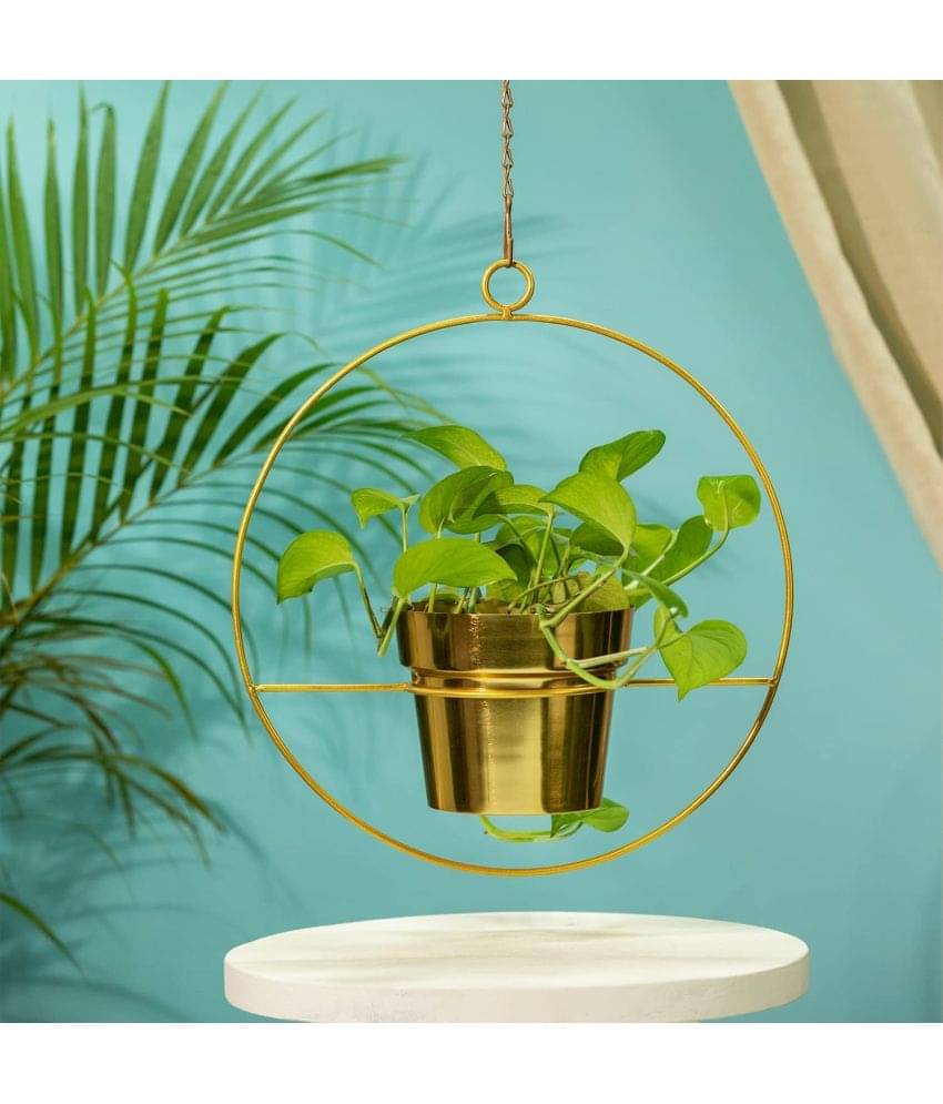     			TrustBasket Luna Metal Hanging Planter (Set of 1) Gold
