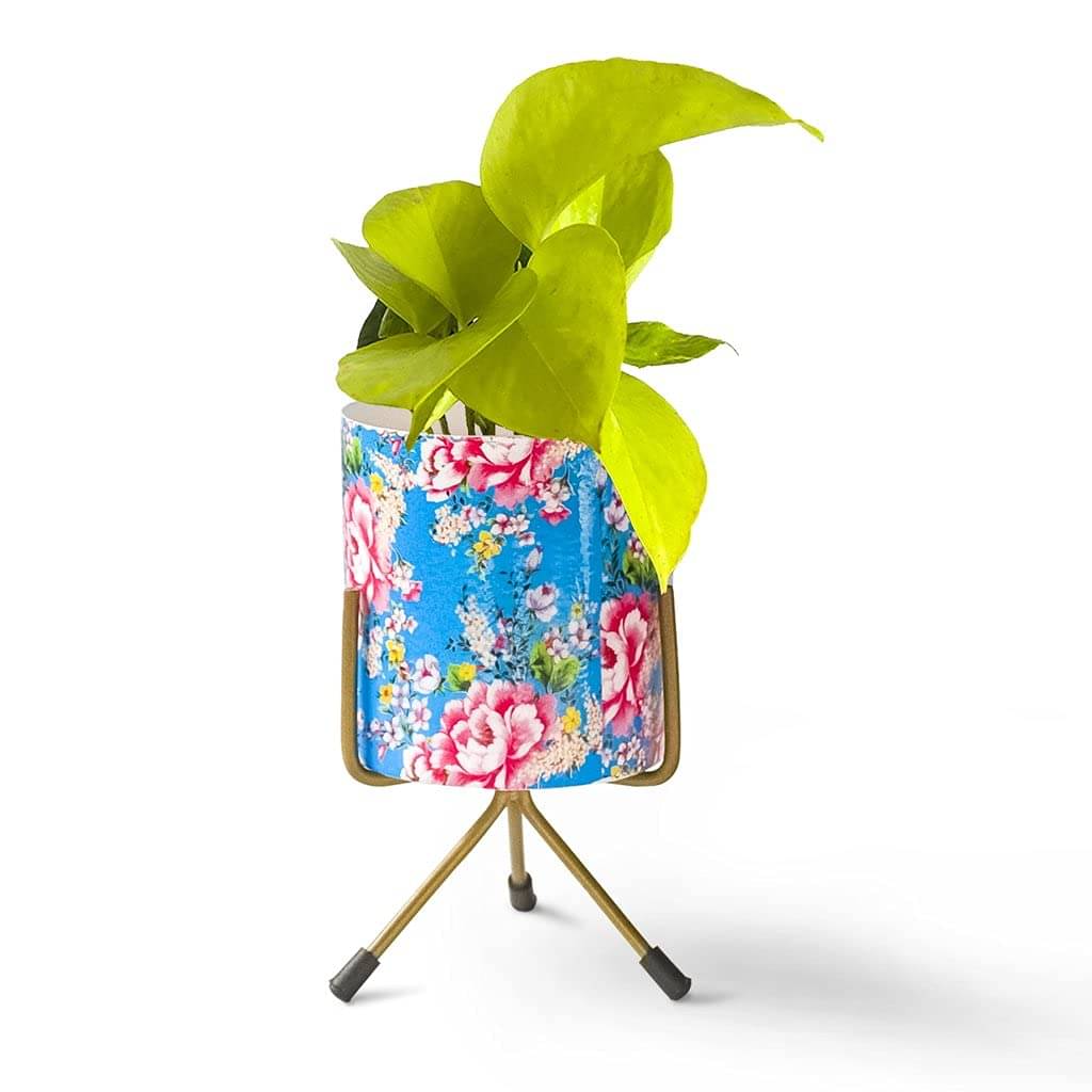     			TrustBasket Ziva Planter