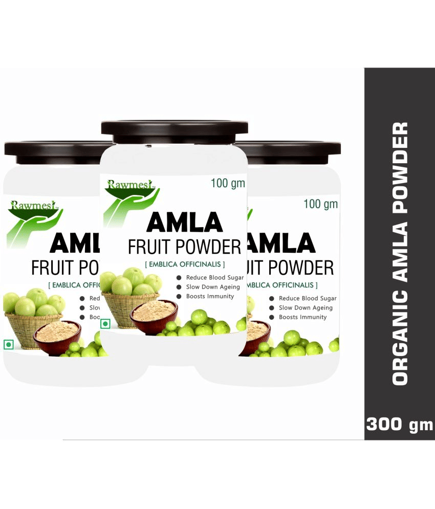 Rawmest Amla Fruit Powder 100 Gm Pack of 3