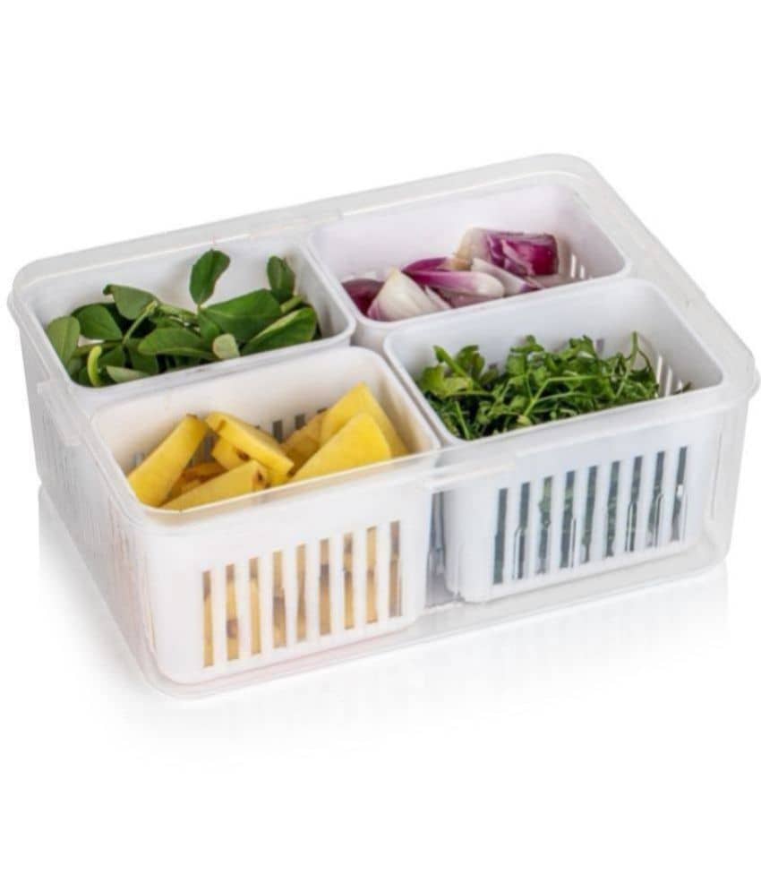 iview kitchenware Food/Vegetable/Fruit Plastic White Multi-Purpose Container ( Set of 1 )