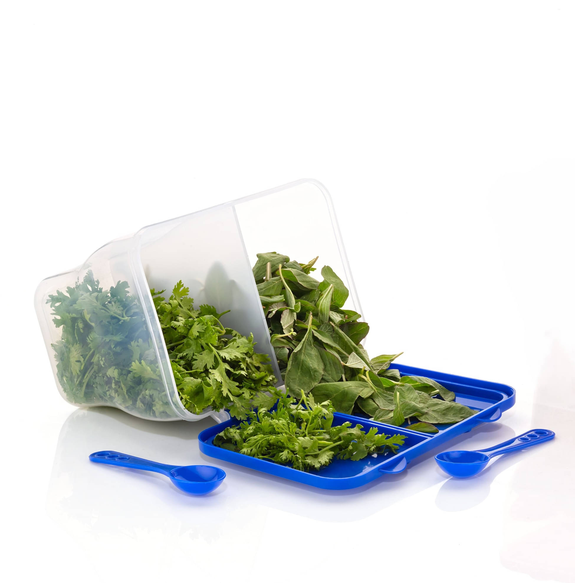     			FIT4CHEF Fridge Storage PET Blue Multi-Purpose Container ( Set of 1 )