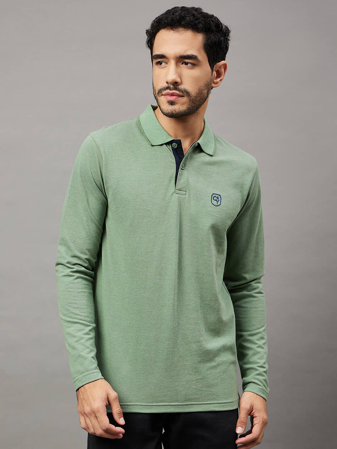 Club York Cotton Blend Regular Fit Solid Full Sleeves Men's Polo T Shirt - Green ( Pack of 1 )
