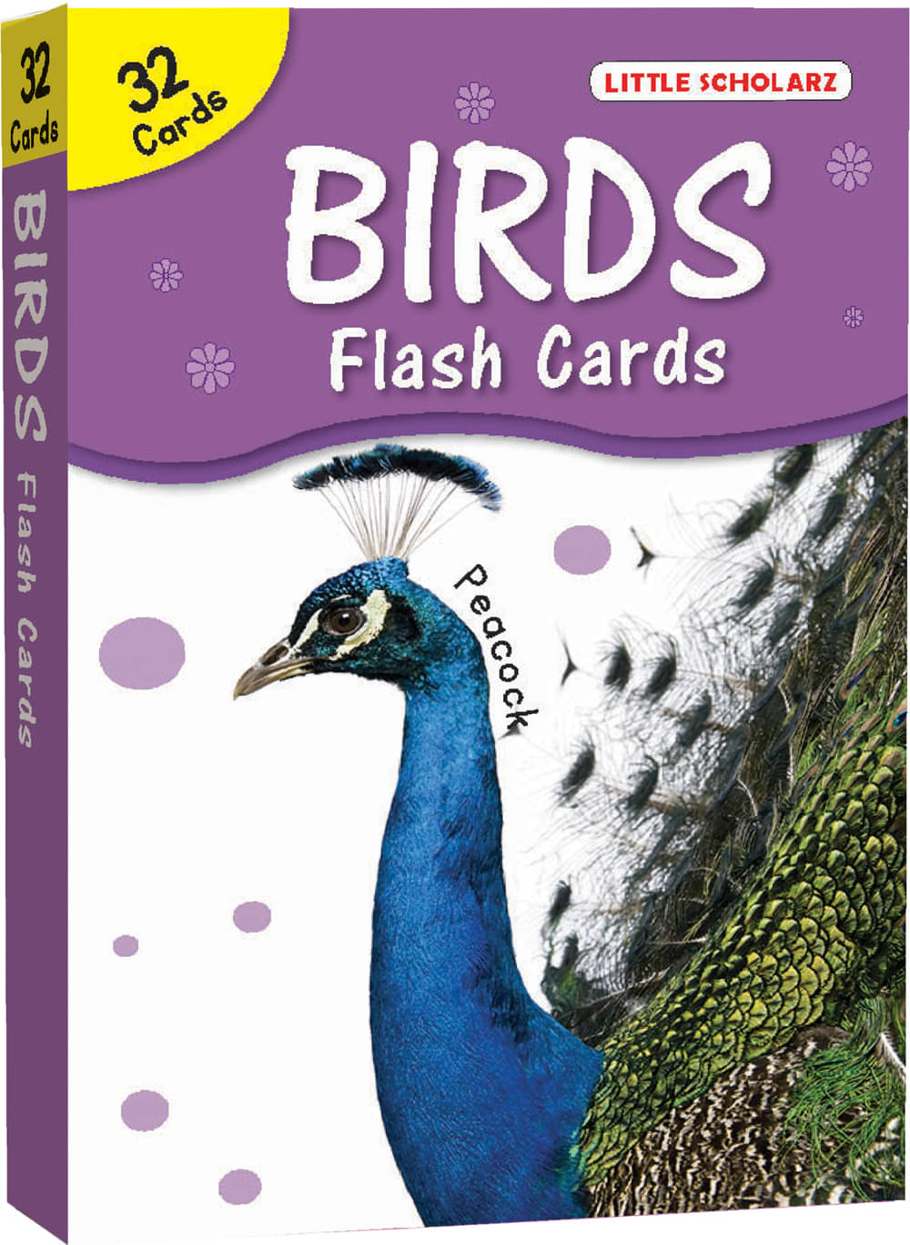 Big Flash Cards Birds     			Big Flash Cards Birds
